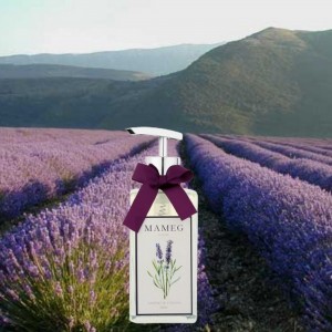 Sabonete Líquido Lavanda Mameg 250ml com Dosador